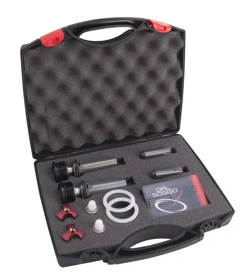 Ray Kit Pistons for WP 4CS 2016 Dal Soggio - Image 2